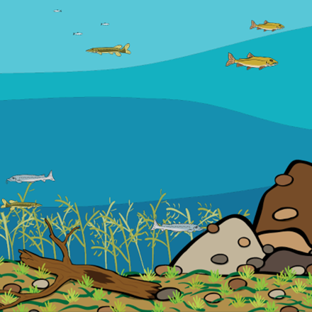 Screen shot of the project with just the native species of fish